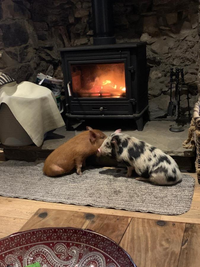 Cwtch Farm Bed & Breakfast Ystalyfera Экстерьер фото